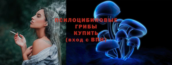 сатива Богородск