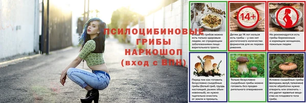 сатива Богородск