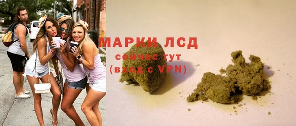 сатива Богородск