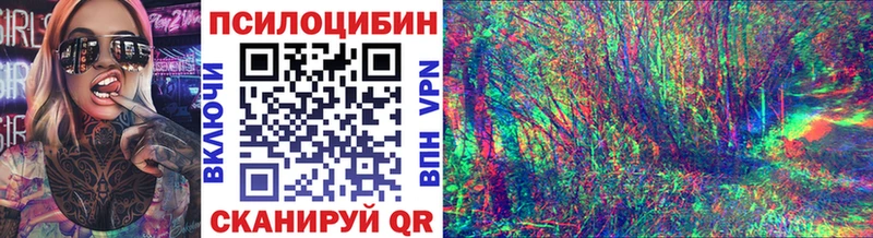 Галлюциногенные грибы Psilocybe  купить наркотики цена  Высоцк 